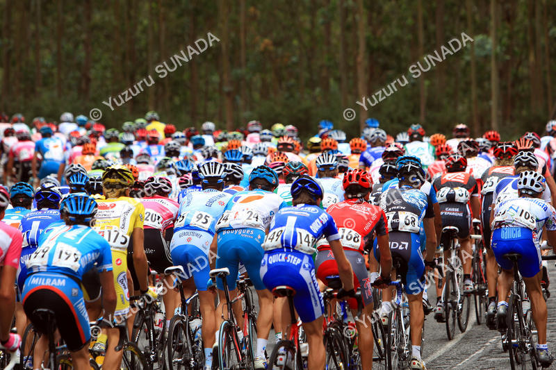 Peloton001p.jpg